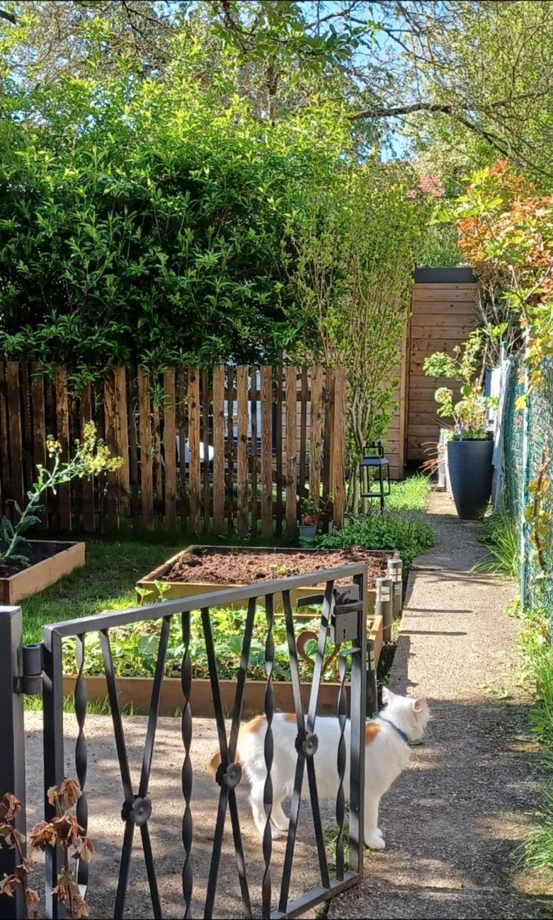L’allée d’accès, le portail et les carrés potagers