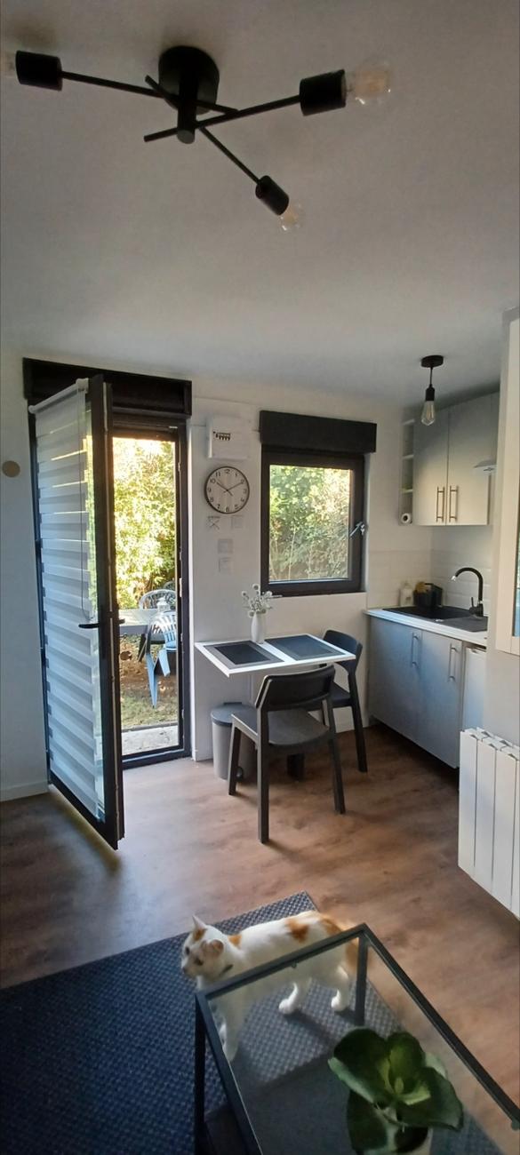 Vue depuis le salon vers le jardin par la porte vitrée