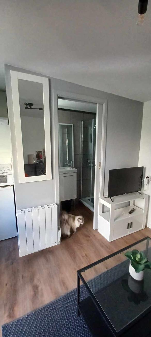 Le radiateur, le lavabo et la douche vus depuis le salon